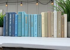 a row of blue books sitting on top of a white shelf next to a potted plant