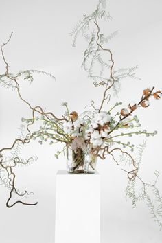 a vase filled with lots of white flowers on top of a table next to branches