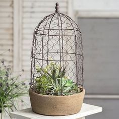 a birdcage filled with succulents and plants on top of a table