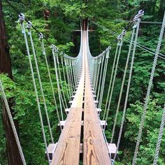 a wooden suspension bridge in the middle of a forest