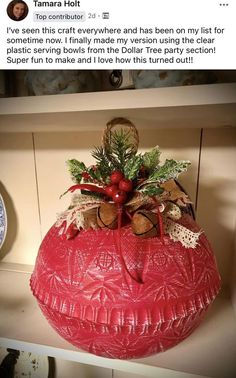 a large red potted plant sitting on top of a shelf