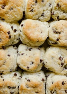 a pile of biscuits with chocolate chips on top