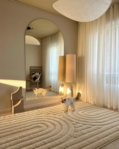 a cat standing in front of a mirror on top of a carpeted floor next to a lamp