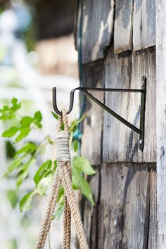 a rope hanging from the side of a wooden building next to a green leafy plant