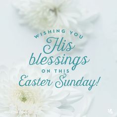 an easter card with white flowers and the words, wishing you his blessing on this easter sunday