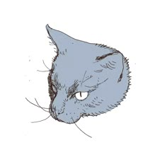 a drawing of a cat's head with one eye open