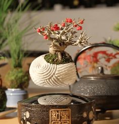 there is a small potted plant in the middle of two other pots on top of a table