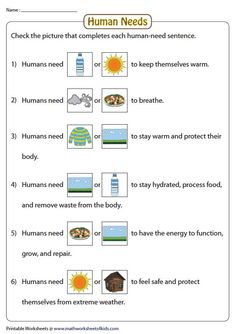 the worksheet for human needs to help students learn how to read and understand