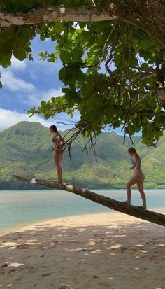 two women are standing on a tree branch by the water