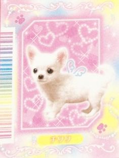 a small white dog standing on top of a pink and yellow card with hearts in the background