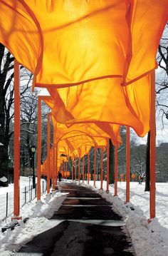 many orange flags are lined up along the snow - covered path in front of trees