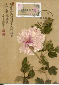 a pink flower on a beige background with chinese writing