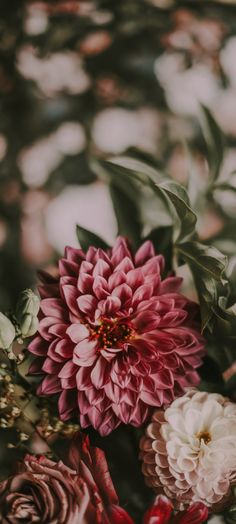 pink and white flowers are in a vase