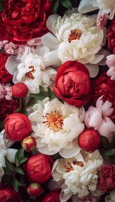 red and white peonies are arranged together