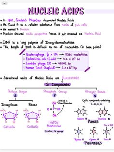 the diagram shows how to use nucleic acids in different types of substances