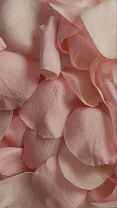 pink and white flowers are scattered together