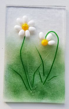 two white flowers with yellow centers on a green background in a square glass frame,