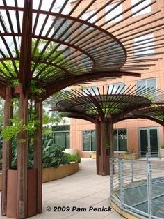 an outdoor area with several pergolated structures and plants on the side of it