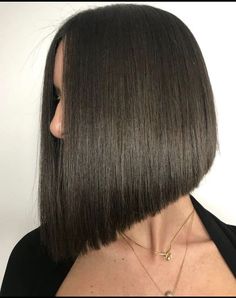 Triangular One Length, Corte Chanel, Sleek Bob Hairstyles, Angled Bob Haircuts, Corte Bob, Angled Bob, Blonde Hair Looks, Haircuts Straight Hair