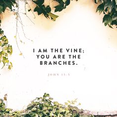 an image of a vine with the words i am the vine you are the branches