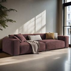 a living room filled with furniture and a plant next to a large window on top of a hard wood floor