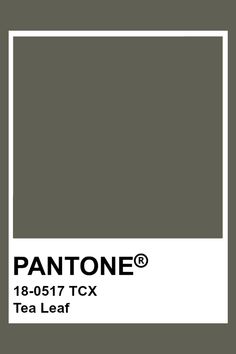 pantone's tea leaf color is shown in the box, and it appears to be gray