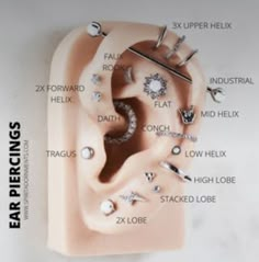 an ear piercing diagram with all the parts labeled