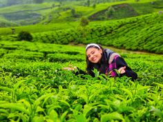 a woman laying on the ground in a field of tea bushes with her arms out