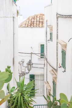 an alley way with white buildings and green shutters on either side, surrounded by greenery