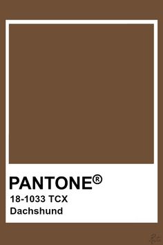 pantone's brown color is shown with the words, 8 - 1033 tcx