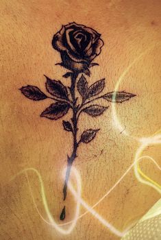 a black rose tattoo on the back of a woman's stomach, with light streaks coming from behind it