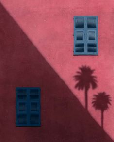 the shadow of two palm trees is cast on a pink wall with blue shutters