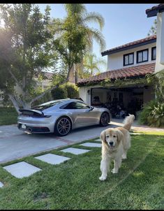 a dog standing in the grass next to a silver sports car and a house with palm trees