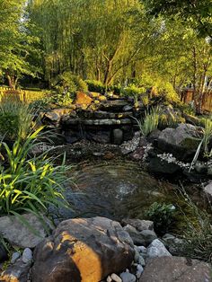 a small stream running through a lush green forest filled with lots of rocks and plants