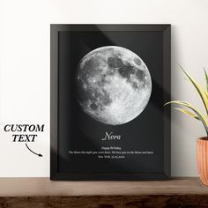 a black and white photo of the moon on a shelf next to a potted plant