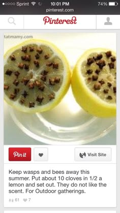 Get Rid Of Wasps, Astuces Diy, Wasp, Household Hacks, 2 A, Nutella, Home Remedies, Summer Time, Repellent