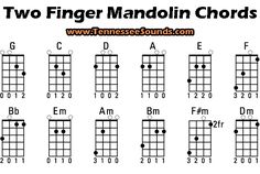 the guitar frets are arranged in different positions and sizes, with all their major chords highlighted