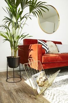 a living room filled with furniture and a mirror on the wall next to a potted plant