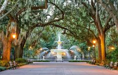 a fountain surrounded by trees and benches under spanish moss covered trees with lights on them