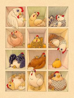 an illustration of chickens and roosters in boxes