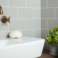 a white sink sitting under a faucet next to a potted green plant