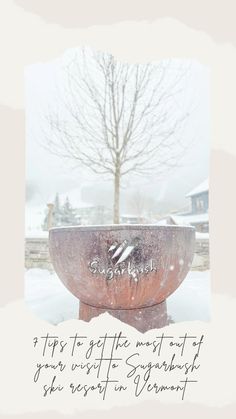 a large bowl sitting on top of a snow covered ground with a tree in the background