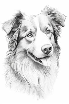 a black and white drawing of a dog's face