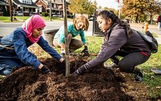 two women digging in the ground with shovels