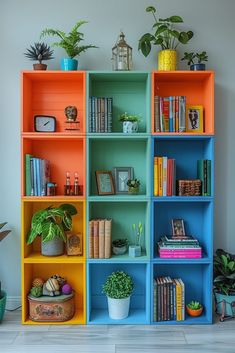 colorful bookshelves with plants on each shelf