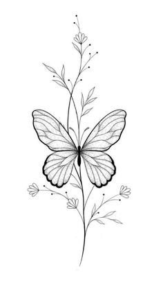 a black and white drawing of a butterfly on a plant