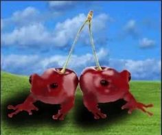 two red animals with one holding the other's tail while standing on grass in front of a blue sky