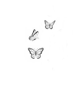 three butterflies flying in the air on a white background with black and white outlines