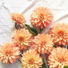 a bunch of pink flowers sitting on top of a white cloth covered table next to each other