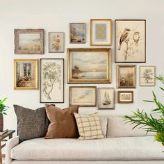 a living room filled with lots of framed pictures on the wall above a white couch